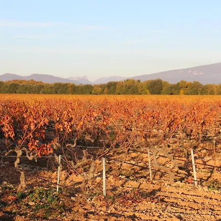 La Cassine, Des Lucioles En Provence 3*