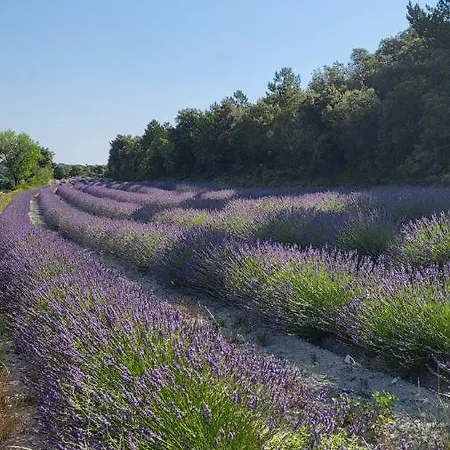 Гостевой дом La Cassine, Des Lucioles En Provence Montsegur-sur-Lauzon